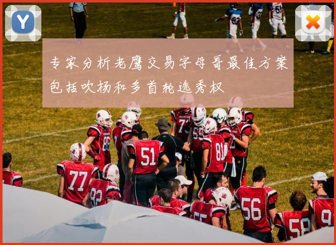 专家分析老鹰交易字母哥最佳方案包括吹杨和多首轮选秀权