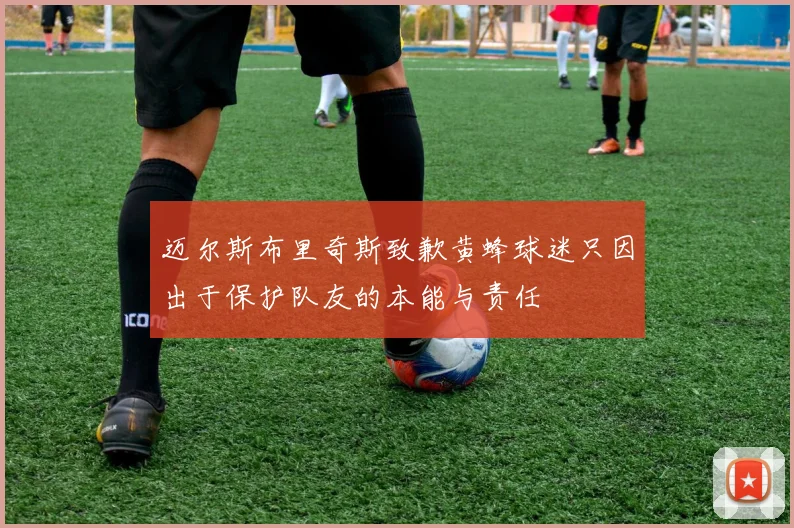 迈尔斯布里奇斯致歉黄蜂球迷只因出于保护队友的本能与责任