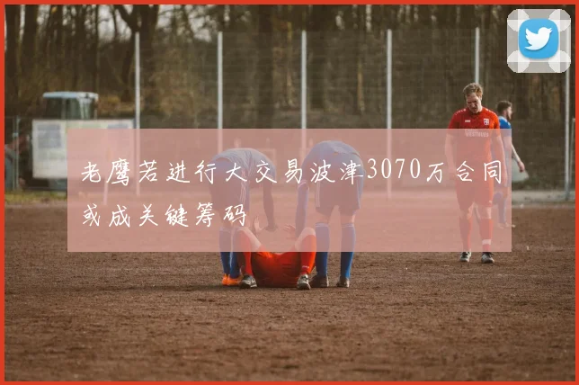 老鹰若进行大交易波津3070万合同或成关键筹码