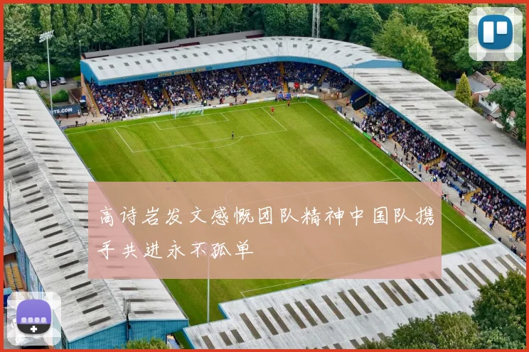 高诗岩发文感慨团队精神中国队携手共进永不孤单