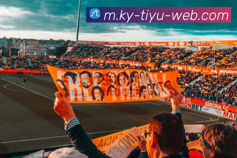 开元体育平台生态图